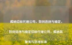 揭秘招标代理公司，如何选择与确定，如何选择与确定招标代理公司，揭秘其服务与选择标准