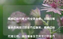 揭秘招标代理公司业务全貌，从项目筹备到合同签订的全方位服务，揭秘招标代理公司，项目筹备至合同签订的全方位服务解析