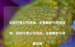 招标代理公司资格，全面解析与申请指南，招标代理公司资格，全面解析与申请指南