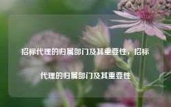 招标代理的归属部门及其重要性，招标代理的归属部门及其重要性