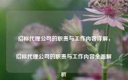 招标代理公司的职责与工作内容详解，招标代理公司的职责与工作内容全面解析