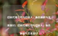 招标代理公司与招标人，角色解析与关系探讨，招标代理公司与招标人，角色解析与关系探讨