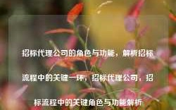 招标代理公司的角色与功能，解析招标流程中的关键一环，招标代理公司，招标流程中的关键角色与功能解析