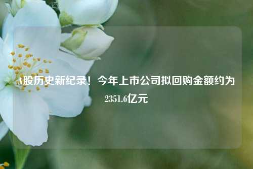 A股历史新纪录！今年上市公司拟回购金额约为2351.6亿元