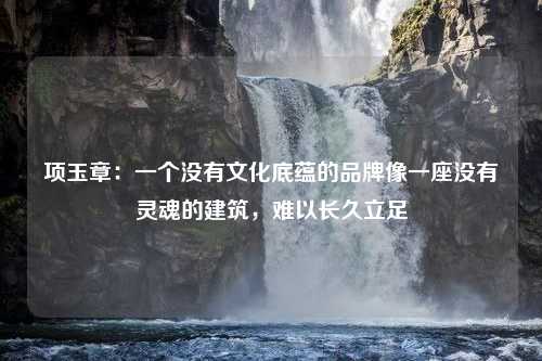 项玉章：一个没有文化底蕴的品牌像一座没有灵魂的建筑，难以长久立足