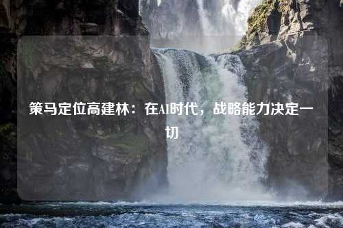 策马定位高建林：在AI时代，战略能力决定一切