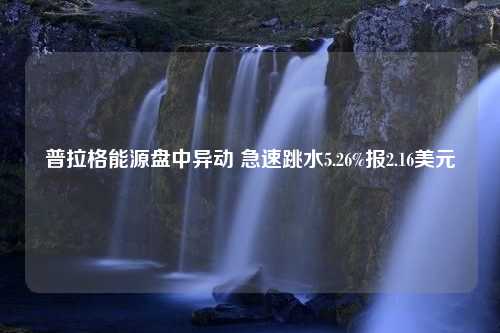 普拉格能源盘中异动 急速跳水5.26%报2.16美元