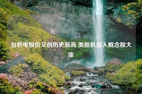 台积电股价又创历史新高 美股机器人概念股大涨