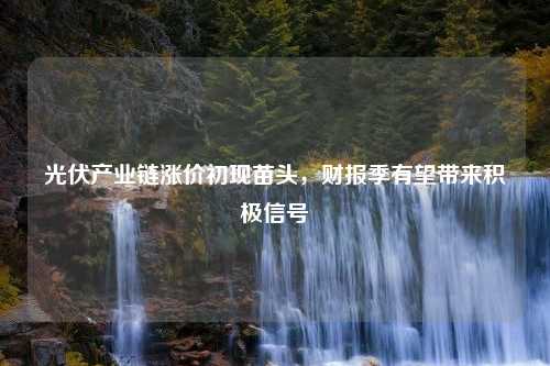 光伏产业链涨价初现苗头，财报季有望带来积极信号