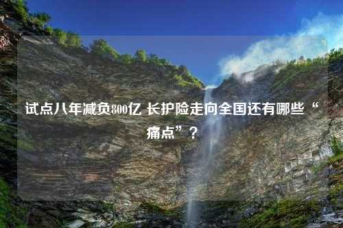 试点八年减负800亿 长护险走向全国还有哪些“痛点”？