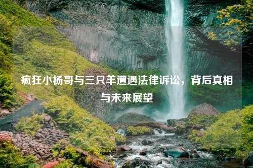 疯狂小杨哥与三只羊遭遇法律诉讼，背后真相与未来展望