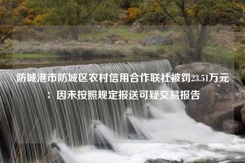 防城港市防城区农村信用合作联社被罚23.51万元：因未按照规定报送可疑交易报告