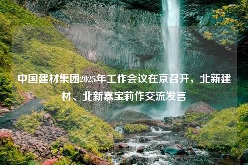 中国建材集团2025年工作会议在京召开，北新建材、北新嘉宝莉作交流发言