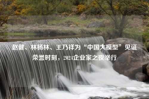 赵健、林杨林、王乃祥为“中国大模型”见证荣誉时刻，2024企业家之夜举行