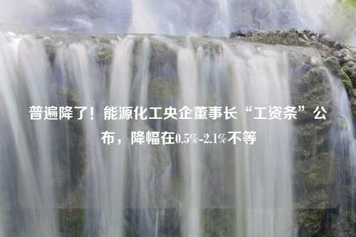 普遍降了！能源化工央企董事长“工资条”公布，降幅在0.5%-2.1%不等