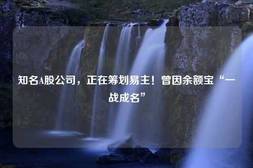 知名A股公司，正在筹划易主！曾因余额宝“一战成名”