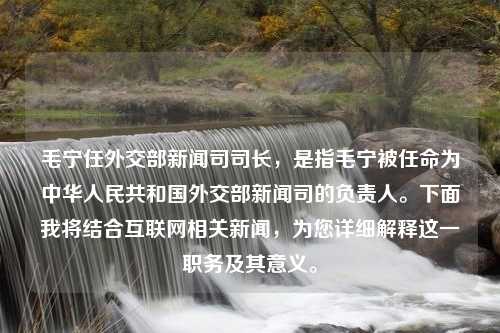 毛宁任外交部新闻司司长，是指毛宁被任命为中华人民共和国外交部新闻司的负责人。下面我将结合互联网相关新闻，为您详细解释这一职务及其意义。