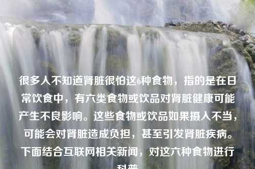 很多人不知道肾脏很怕这6种食物，指的是在日常饮食中，有六类食物或饮品对肾脏健康可能产生不良影响。这些食物或饮品如果摄入不当，可能会对肾脏造成负担，甚至引发肾脏疾病。下面结合互联网相关新闻，对这六种食物进行科普