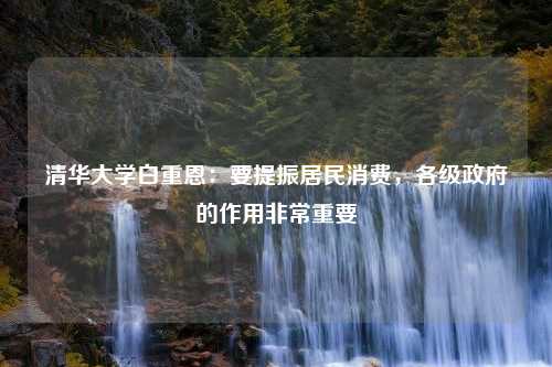 清华大学白重恩：要提振居民消费，各级政府的作用非常重要