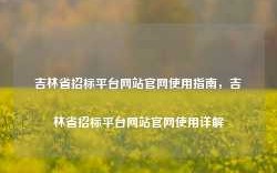 吉林省招标平台网站官网使用指南，吉林省招标平台网站官网使用详解