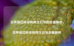 吉林省招标采购网生石灰的全面解析，吉林省招标采购网生石灰全面解析