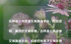 吉林省公共资源交易服务平台，打造透明、高效的交易环境，吉林省公共资源交易服务平台，构建透明高效交易环境