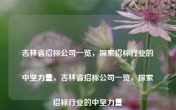 吉林省招标公司一览，探索招标行业的中坚力量，吉林省招标公司一览，探索招标行业的中坚力量