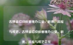 吉林省招投标管理办公室，职责、流程与规范，吉林省招投标管理办公室，职责、流程与规范总览