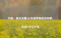 外媒：普京签署2025年俄罗斯联邦预算，将超41万亿卢布