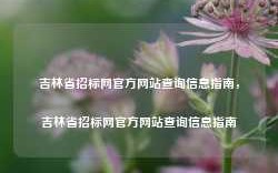 吉林省招标网官方网站查询信息指南，吉林省招标网官方网站查询信息指南