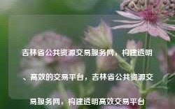 吉林省公共资源交易服务网，构建透明、高效的交易平台，吉林省公共资源交易服务网，构建透明高效交易平台