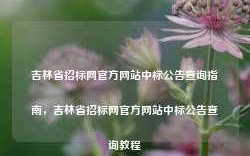 吉林省招标网官方网站中标公告查询指南，吉林省招标网官方网站中标公告查询教程