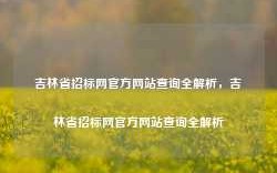 吉林省招标网官方网站查询全解析，吉林省招标网官方网站查询全解析