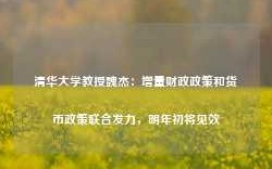 清华大学教授魏杰：增量财政政策和货币政策联合发力，明年初将见效