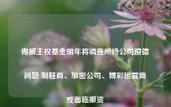 挪威主权基金明年将调查所持公司道德问题 制鞋商、加密公司、博彩运营商或面临撤资