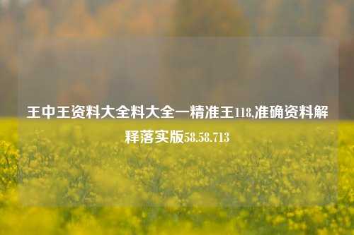 王中王资料大全料大全一精准王118,准确资料解释落实版58.58.713