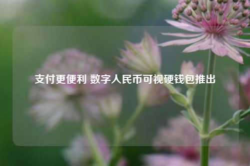 支付更便利 数字人民币可视硬钱包推出