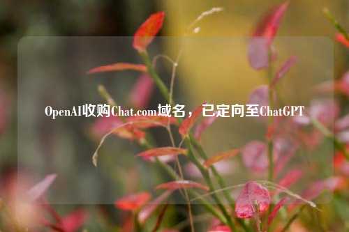 OpenAI收购Chat.com域名，已定向至ChatGPT