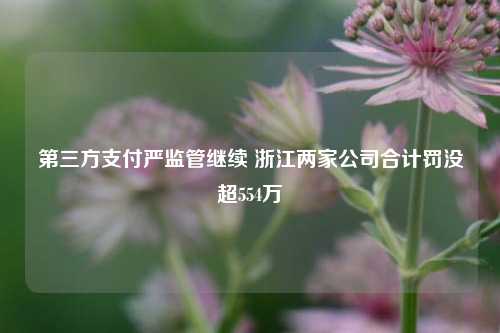 第三方支付严监管继续 浙江两家公司合计罚没超554万