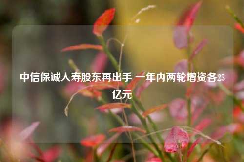 中信保诚人寿股东再出手 一年内两轮增资各25亿元