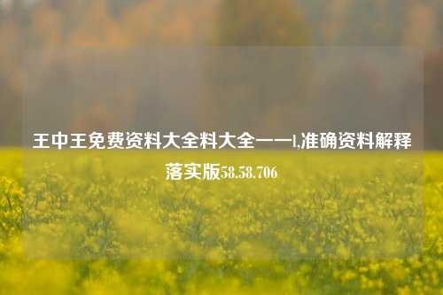 王中王免费资料大全料大全一一l,准确资料解释落实版58.58.706