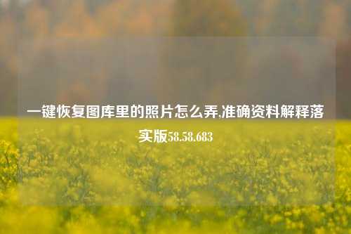 一键恢复图库里的照片怎么弄,准确资料解释落实版58.58.683