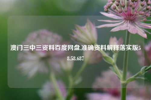 澳门三中三资料百度网盘,准确资料解释落实版58.58.687