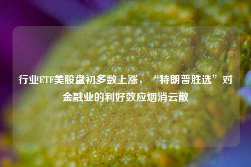 行业ETF美股盘初多数上涨，“特朗普胜选”对金融业的利好效应烟消云散