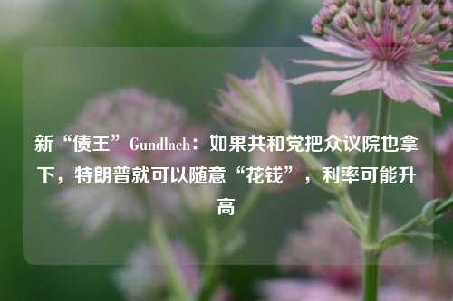 新“债王”Gundlach：如果共和党把众议院也拿下，特朗普就可以随意“花钱”，利率可能升高