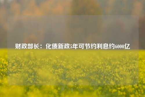 财政部长：化债新政5年可节约利息约6000亿