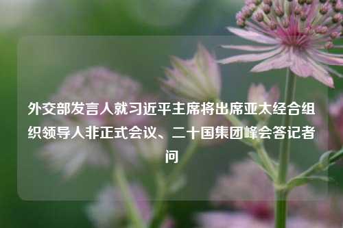 外交部发言人就习近平主席将出席亚太经合组织领导人非正式会议、二十国集团峰会答记者问