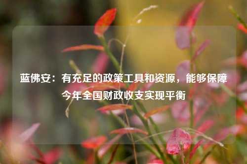 蓝佛安：有充足的政策工具和资源，能够保障今年全国财政收支实现平衡