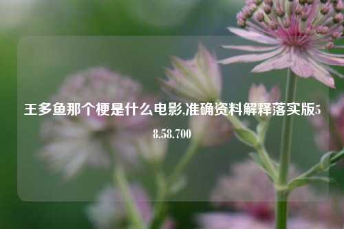 王多鱼那个梗是什么电影,准确资料解释落实版58.58.700