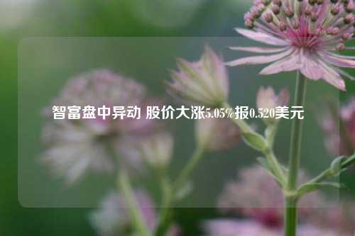 智富盘中异动 股价大涨5.05%报0.520美元